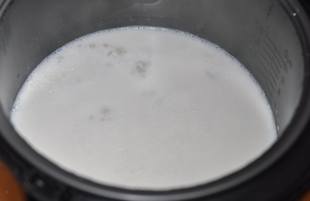 Какой водой заливают рис холодной или горячей. Перловая каша мультиварка молоко. Рис залитый молоком. Молоко свернулось в мультиварке. Перловая молочная каша в мультиварке.