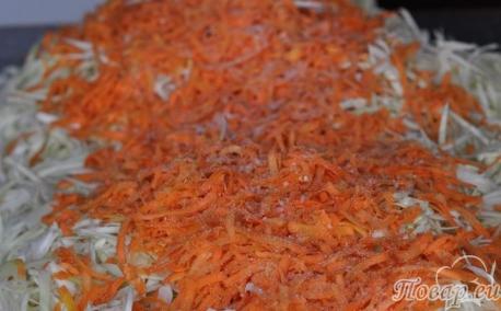 Капуста и морковь с солью для приготовления квашеной капусты с клюквой