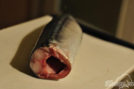 Обработка рыбы для приготовления скумбрии домашнего копчения