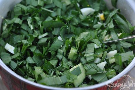 Салат из черемши с огурцом: зелень