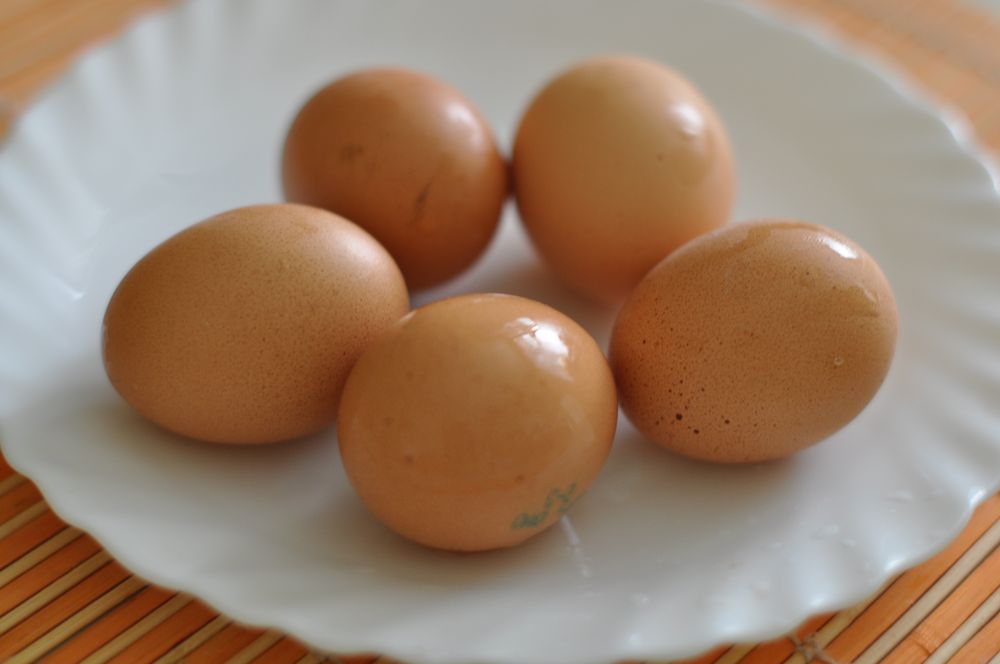 Теплые яички. Теплые яйца. Вареные яйца. Женские яйца. Переваренные яйца.
